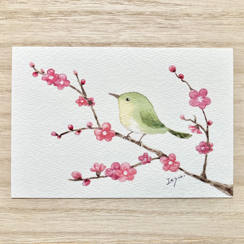 絵（梅にうぐいす、実は目白）フレーム付き 梅に鶯、花札のうぐいす