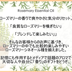 NOTO ローズマリー精油10ml　アロマオイル エッセンシャルオイル ディフューザー芳香浴や手作りキャンドルや香水用に 3枚目の画像