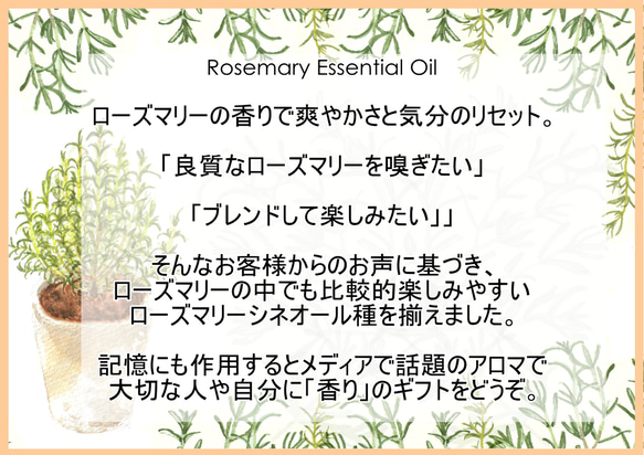 NOTO ローズマリー精油10ml　アロマオイル エッセンシャルオイル ディフューザー芳香浴や手作りキャンドルや香水用に 3枚目の画像