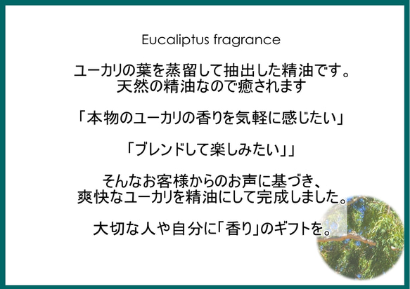 NOTO ユーカリ精油10ml　ユーカリのアロマオイル 空気清浄やリフレッシュ 2枚目の画像