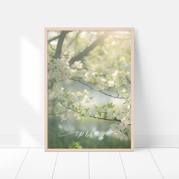 桜のフォトポスター / i1708 / サクラのある春の風景　写真　インテリアポスター 6枚目の画像