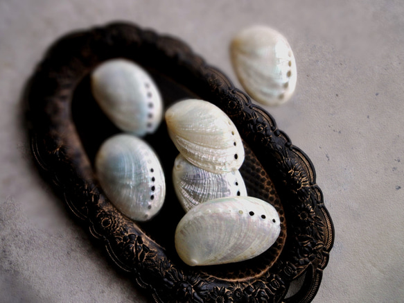 【海のコフレセットE】淡水パールのスライドネックレス ■長小豆チェーン 小さな貝殻 9枚目の画像