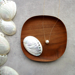 【海のコフレセットE】淡水パールのスライドネックレス ■長小豆チェーン 小さな貝殻 4枚目の画像