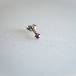 Titanium　pierced earrings・チタンピアス１粒=P・P=１６G 3枚目の画像