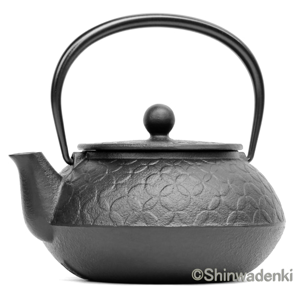 岩鑄 南部鐵器 鐵瓶 鐵壺兩用茶壺 5型景泰藍 0.65L 日本製 第13張的照片