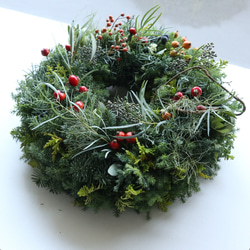 ブルーファンタジアのハーフリース ドライフラワー viento 通販