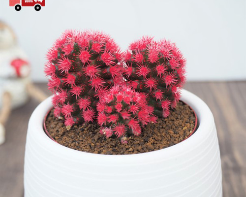 02c50729795e85796d9d05ad81cd24