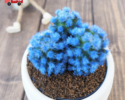 d025cbd9e649324eac90629a0da346