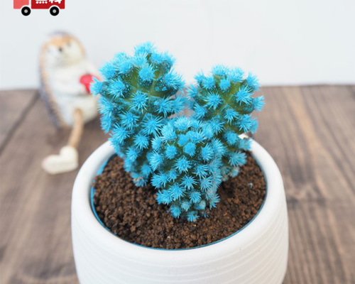 e7de31d5c7eb48ca9a3eb689b3a6d6