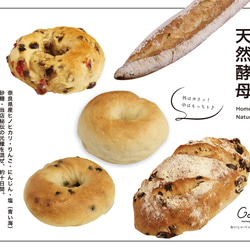 【送料無料※一部地域除く】Gaku特選！おまかせパン詰め合わせセット 1枚目の画像