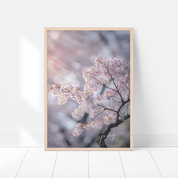桜のフォトポスター / i1710 / サクラのある春の風景　写真　インテリアポスター 6枚目の画像