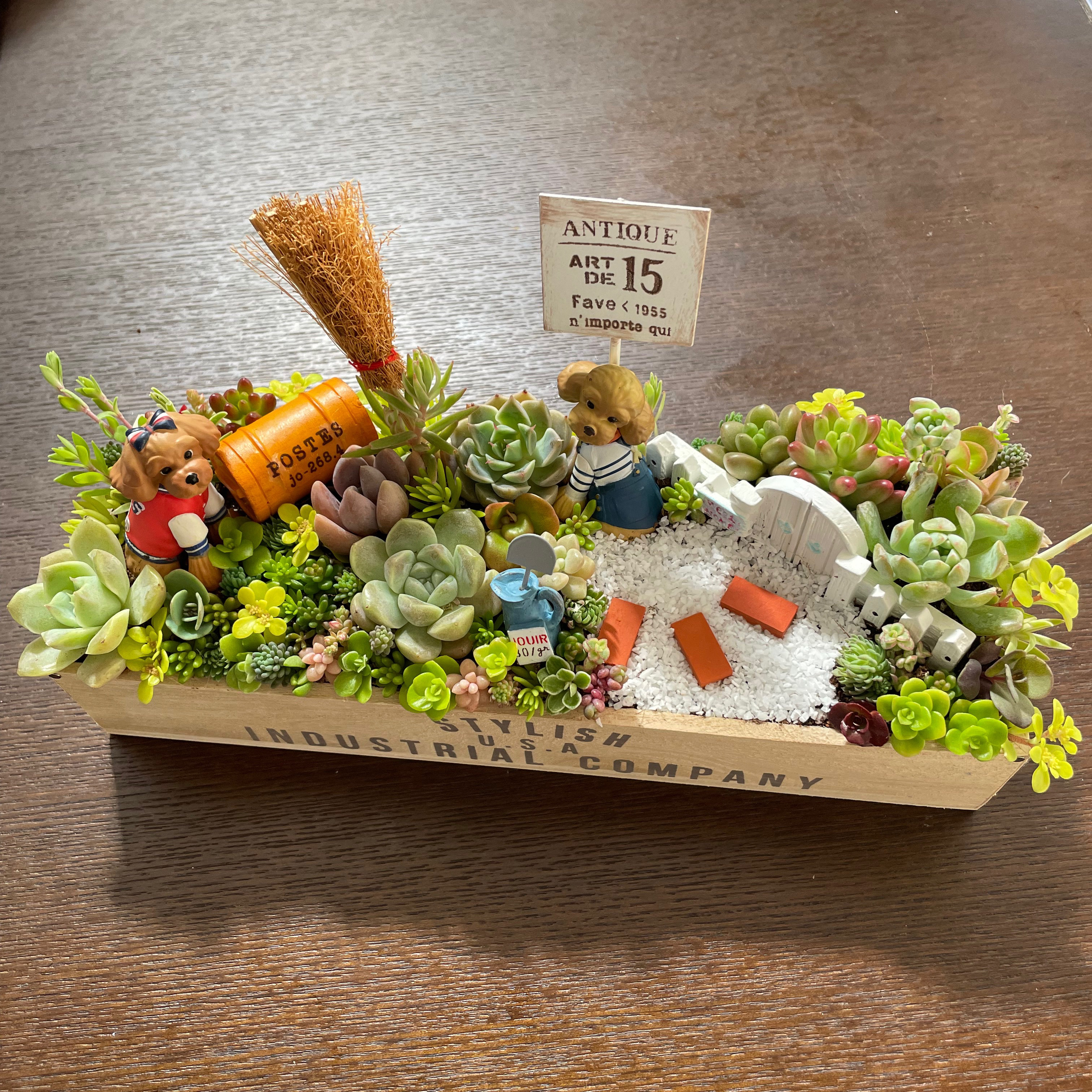 受注制作 ゲート箱庭風多肉植物寄せ植え その他インテリア雑貨