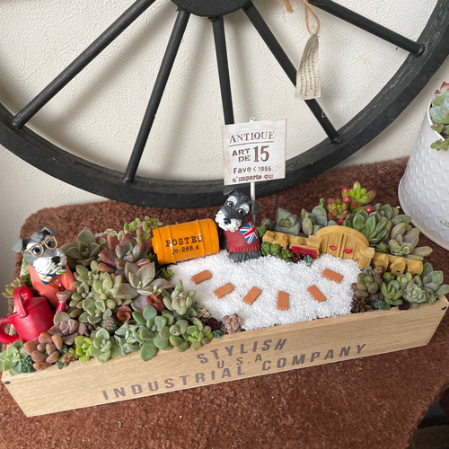 受注制作 ゲート箱庭風多肉植物寄せ植え その他インテリア雑貨 まぁ