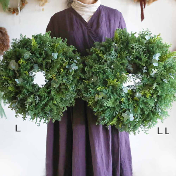 今年も変わらないヨ♪ドライになるクリスマスリース／葉っぱみっしり・針葉樹が香るフレッシュグリーンリース／選べる３サイズ 9枚目の画像