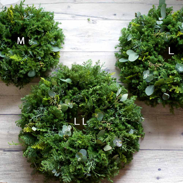 今年も変わらないヨ♪ドライになるクリスマスリース／葉っぱみっしり・針葉樹が香るフレッシュグリーンリース／選べる３サイズ 5枚目の画像