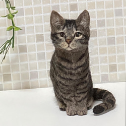 受注商品 Mサイズ キジトラ 猫 羊毛フェルト 羊毛フェルト 展示