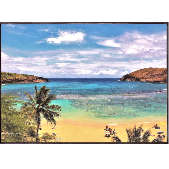 【送料無料】南国の風景☆HAWAII  No.226 フレーム付  A4サイズ 2枚目の画像