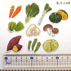 【Lサイズ追加】お野菜フレークシール① 8枚目の画像