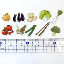 【Lサイズ追加】お野菜フレークシール② 4枚目の画像