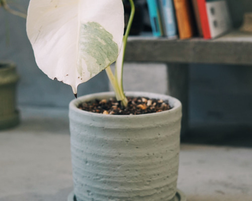 3793958e066d2c246b0c75bb1d49d7