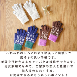 スマホ対応手袋 高感度 ふわふわ あったか fluffy gloves 小鳥 ブラウン 172004 防寒 2枚目の画像