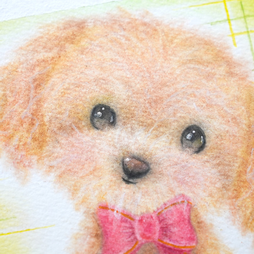 原画】「トイプードル」 犬 動物 パステルアート かわいい