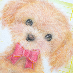 【原画】「トイプードル」　犬　動物　パステルアート　かわいい　イラスト　わんちゃん　dog 4枚目の画像