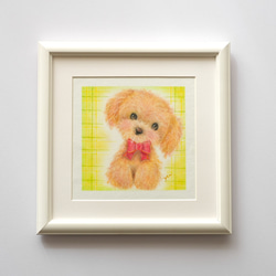 【原画】「トイプードル」　犬　動物　パステルアート　かわいい　イラスト　わんちゃん　dog 7枚目の画像