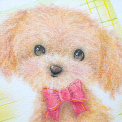 【原画】「トイプードル」　犬　動物　パステルアート　かわいい　イラスト　わんちゃん　dog 6枚目の画像