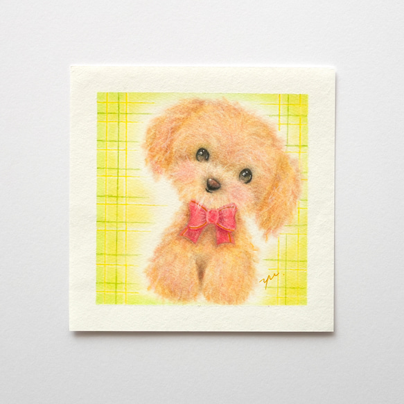 【原画】「トイプードル」　犬　動物　パステルアート　かわいい　イラスト　わんちゃん　dog 8枚目の画像