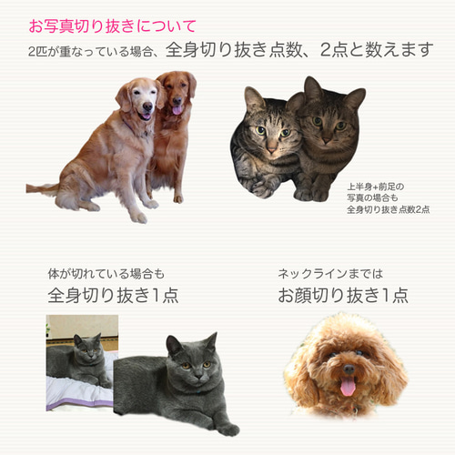 うちの子グッズ オーダーの注意点 おもちゃ・ペット小物 hitomi