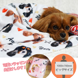 ハート ペット服・アクセサリー のおすすめ人気通販｜Creema(クリーマ
