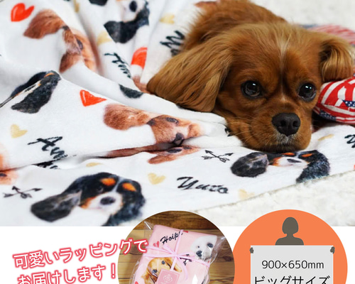 ab944c4d0a9b89b805803b19e24206