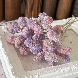 再販❣️ドライフラワーかすみ草サクラ色キラキラオーロララメ付き