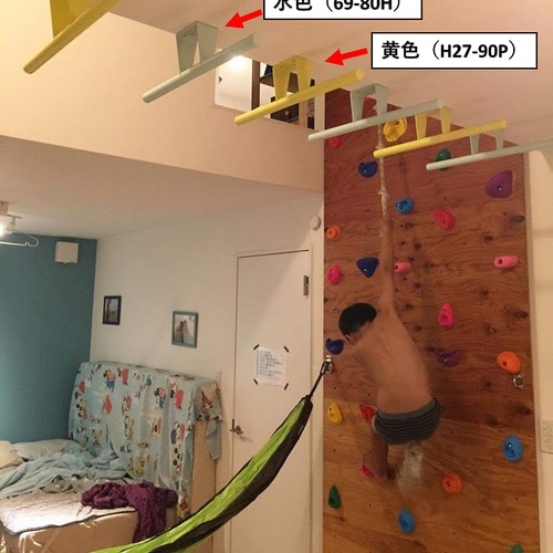 うんていくん キッズルーム うんてい ギフト けんすい はしご 宅トレ 