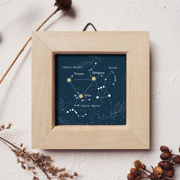 ミニ額＊冬の星座 1枚目の画像