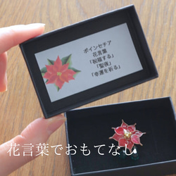 【節日禮盒】聖誕禮盒一品紅耳環/耳環項鍊套裝 第12張的照片