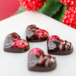 《特集掲載》ハートチョコレートピアス (ダークチョコレート)  ショコラ  バレンタイン フェイクスイーツ ブラウン 10枚目の画像