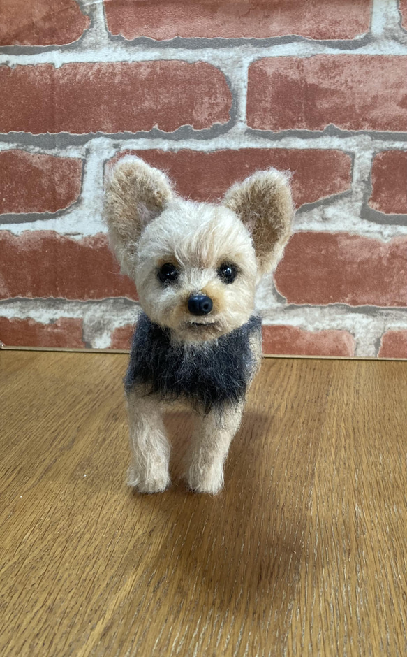 羊毛フェルト　ヨークシャテリア　オーダー　犬　ハンドメイド　ぬいぐるみ　ペットロス　うちの子 10枚目の画像