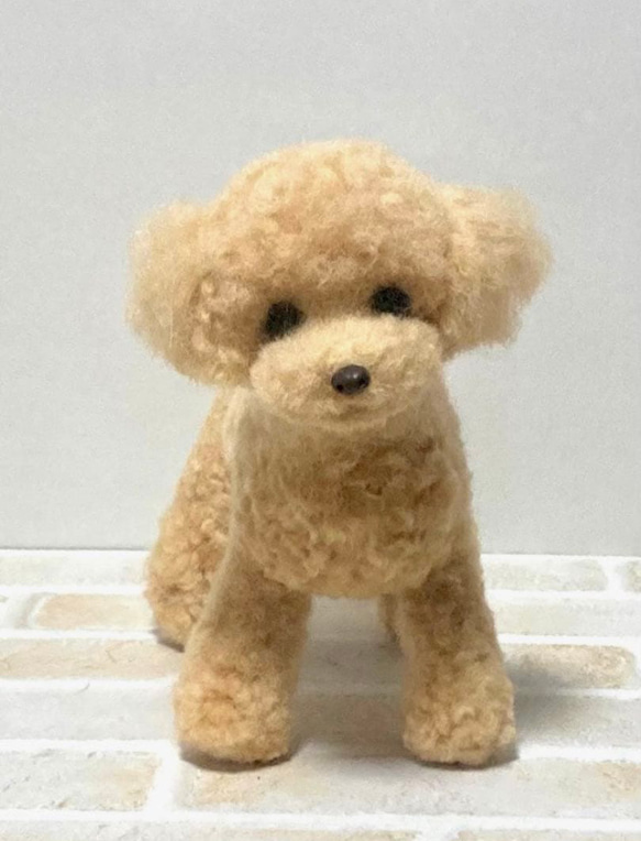 オーダー トイプードル 羊毛フェルト 犬 ハンドメイド ぬいぐるみ