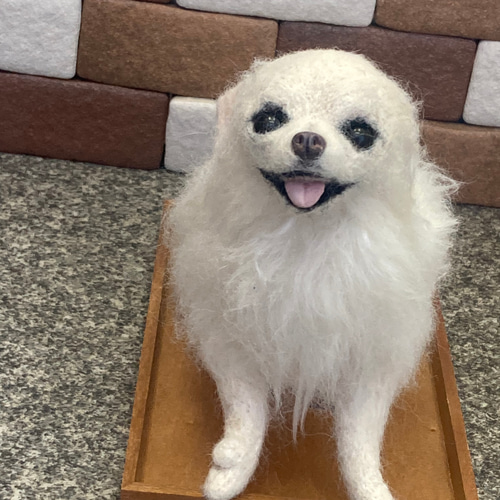 羊毛フェルト オーダー チワワ 犬 Mサイズ ハンドメイド ぬいぐるみ