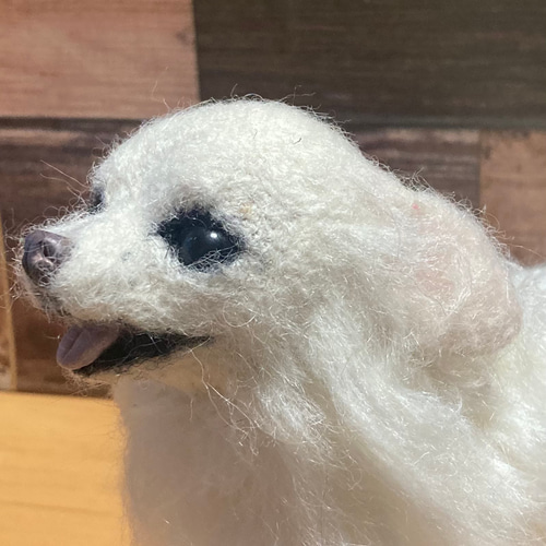羊毛フェルト オーダー チワワ 犬 Mサイズ ハンドメイド ぬいぐるみ