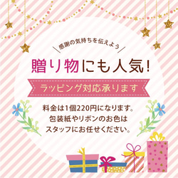 笑顔こぼれる♪ふわふわベビーシューズ 完成品 出産祝い 日本製 (ADUCK)【5～11日以内発送】 9枚目の画像