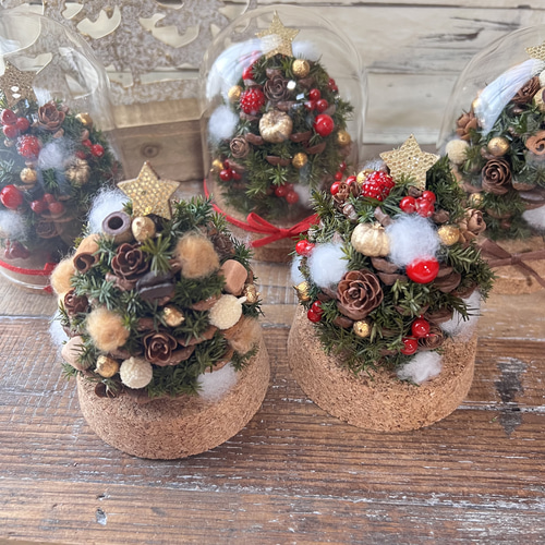 ガラスドーム　レア H0140WBRT2]HERE by DETAIL Glass Dome 