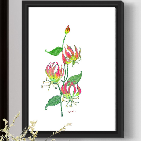 11月9日 グロリオサ もっと強くならなくちゃ 花言葉アートポスター