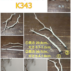 止まり木（クチナシ：TOY-08-015) K343 1枚目の画像