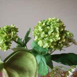 【母の日2024】新緑の紫陽花とピンクアンスリウムの花束♡ 紫陽花インテリア グリーン紫陽花 アンスリウム 5枚目の画像