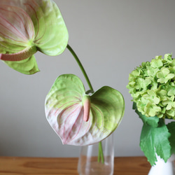 【大人気】新緑の紫陽花とピンクアンスリウムの花束♡ 紫陽花インテリア グリーン紫陽花 アンスリウム 6枚目の画像