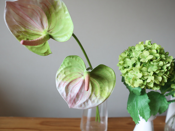 【母の日2024】新緑の紫陽花とピンクアンスリウムの花束♡ 紫陽花インテリア グリーン紫陽花 アンスリウム 6枚目の画像