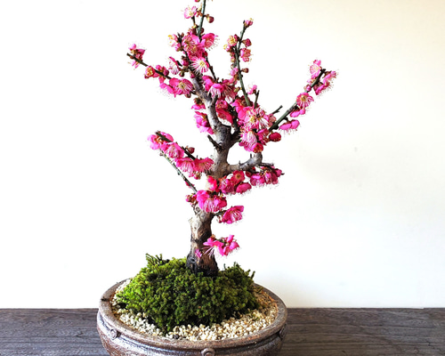 4647b875182b4e4f716b2bee9887dc